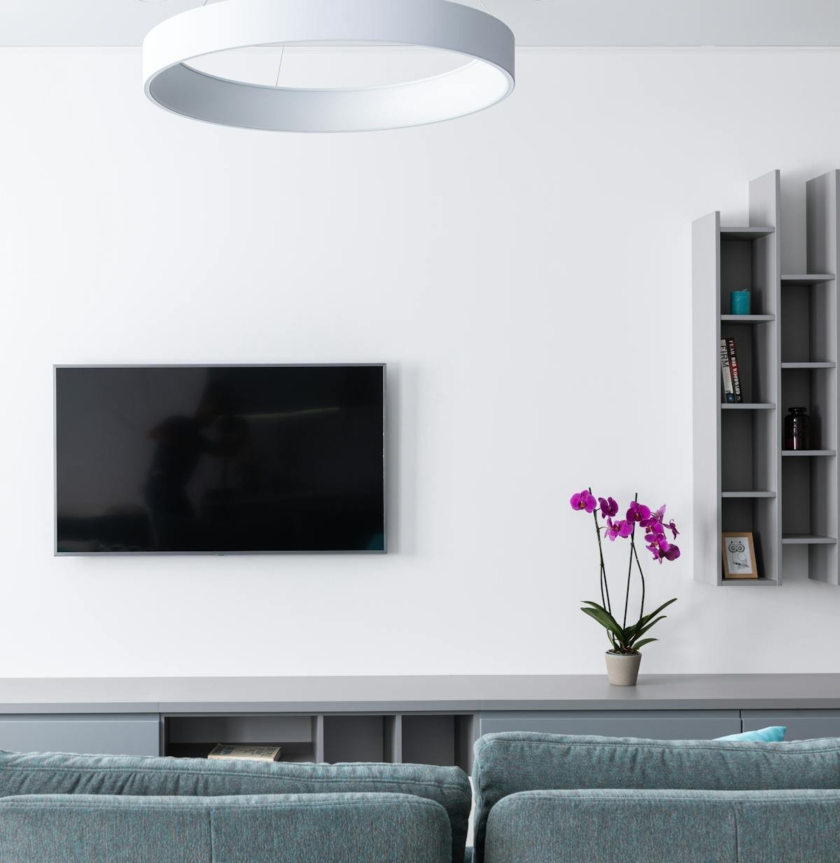 Salon contemporain avec grand ecran plat Sony