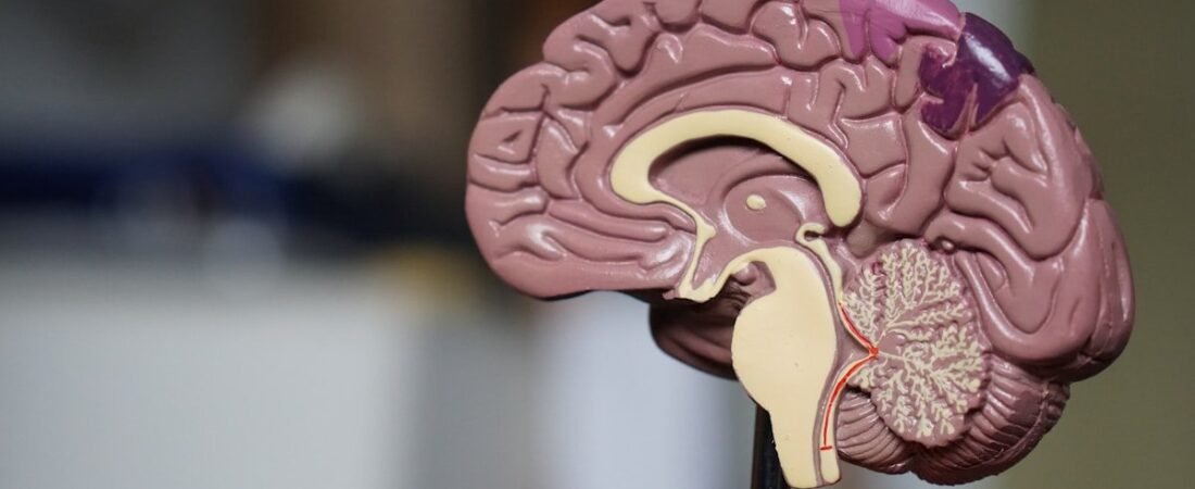 Intelligence artificielle et santé en 2026 : quand lIA révolutionne la médecine