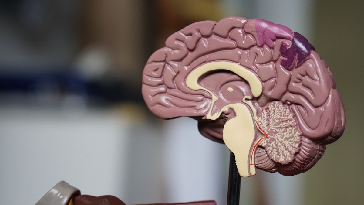Intelligence artificielle et santé en 2026 : quand lIA révolutionne la médecine
